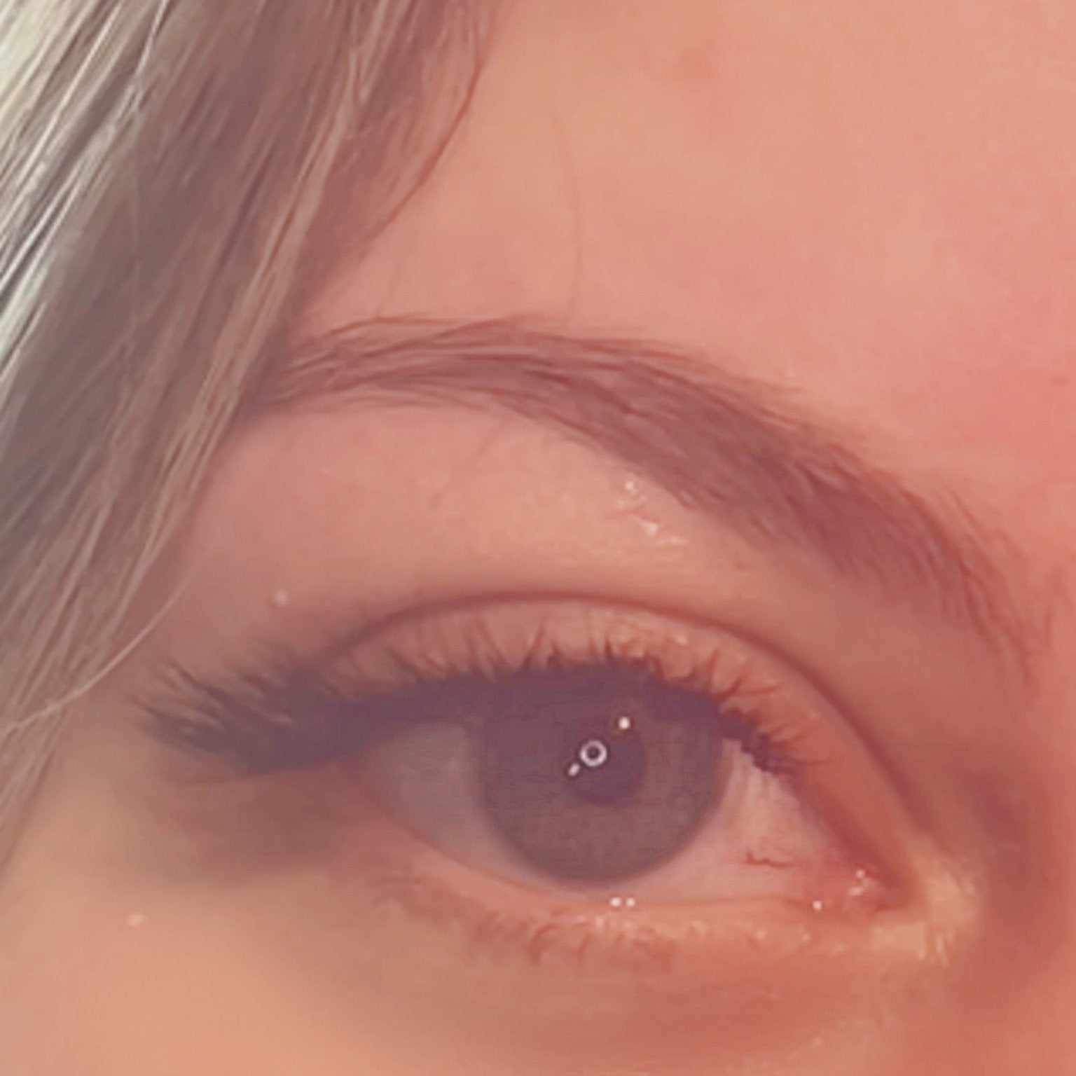 ladybuglashes lashglue lashtrays lashadhesive glueretention cloverlashes wlashes yylashes premades promades lashes