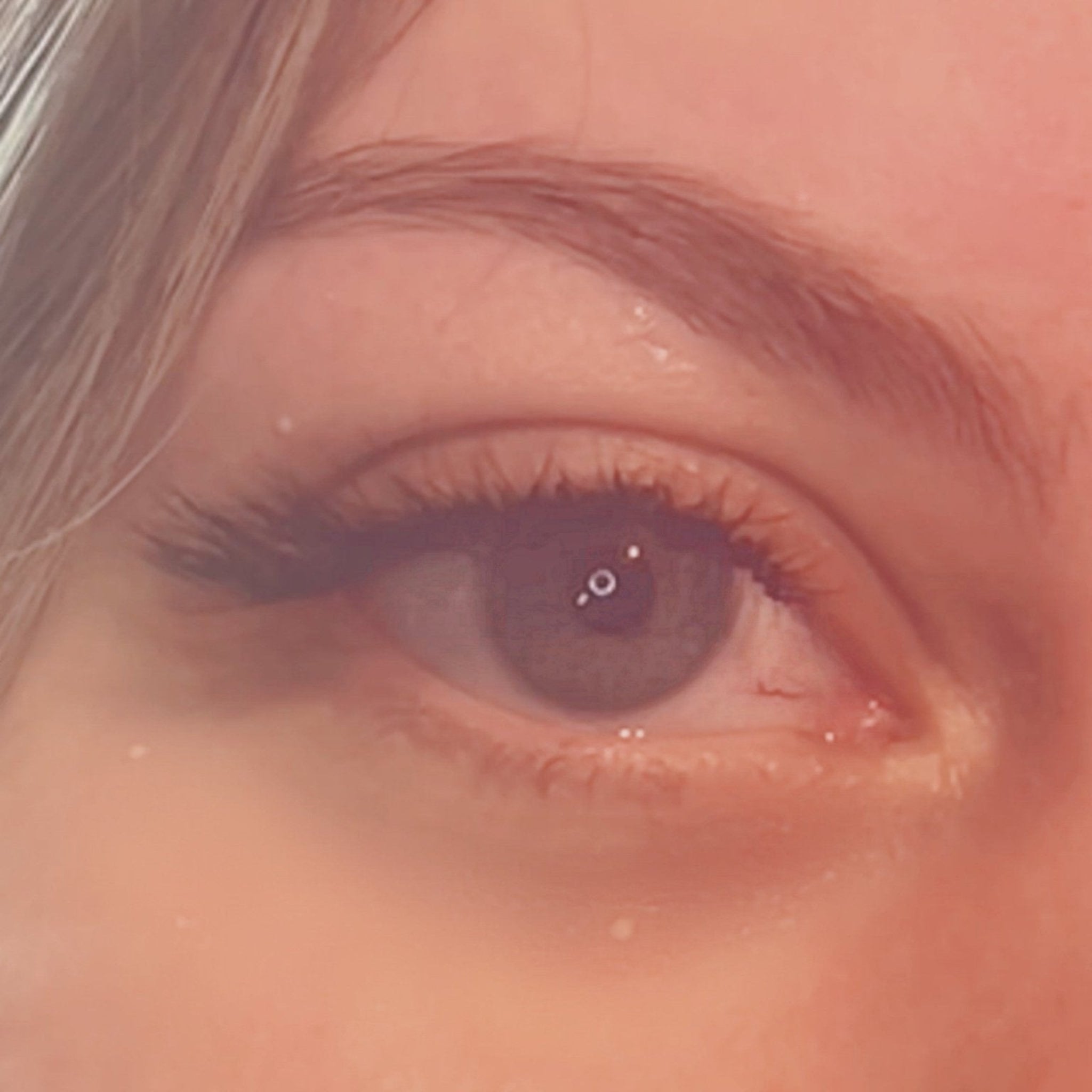 ladybuglashes lashglue lashtrays lashadhesive glueretention cloverlashes wlashes yylashes premades promades lashes