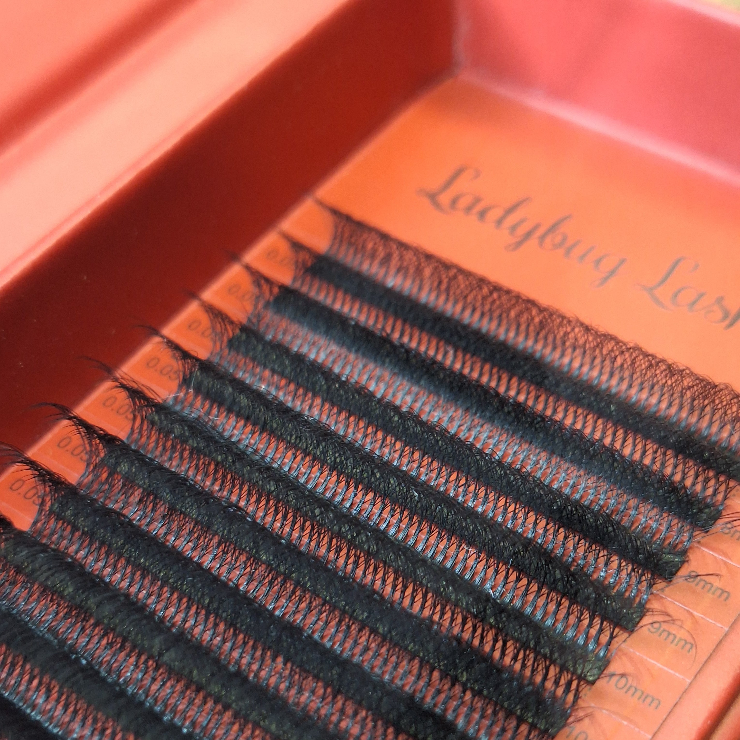 10D Clover Lashes 16 row mixed box