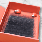 10D Clover Lashes 16 row mixed box