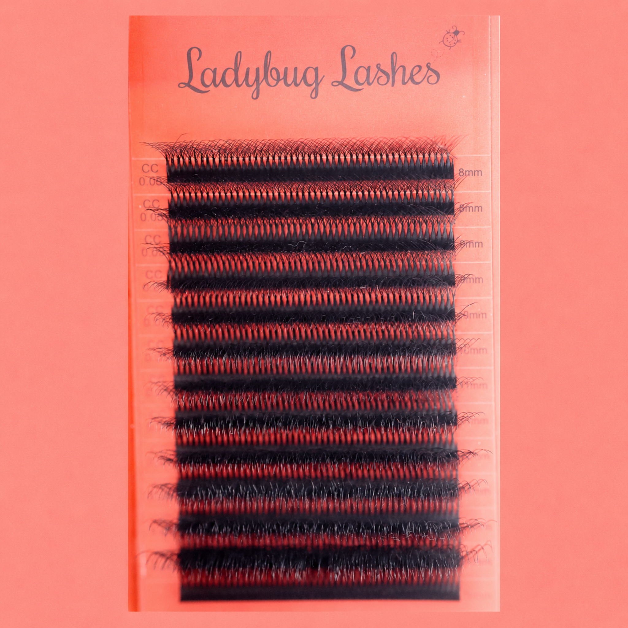 Ladybug Lashes 10D Clover Lash overhead flatlay showing CC curl lash tray with length labels visible across all 16 rows from directly above