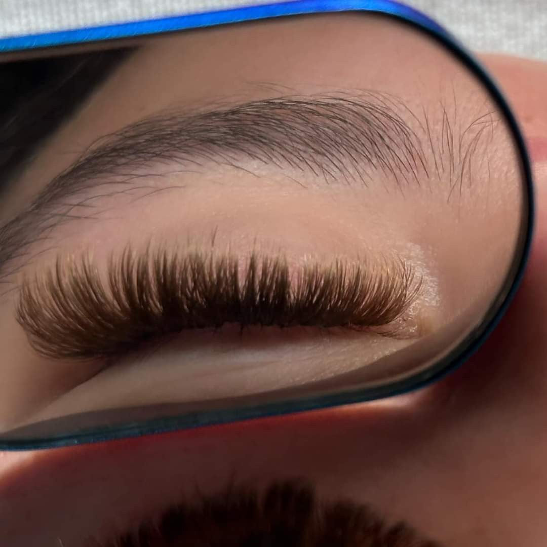 ladybuglashes lashglue lashtrays lashadhesive glueretention cloverlashes wlashes yylashes premades promades lashes