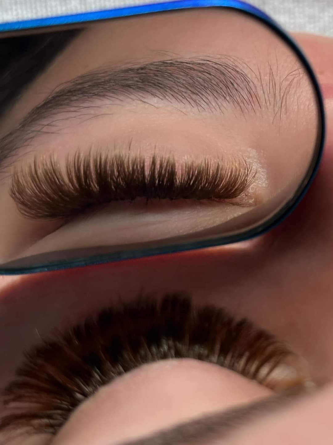 ladybuglashes lashglue lashtrays lashadhesive glueretention cloverlashes wlashes yylashes premades promades lashes