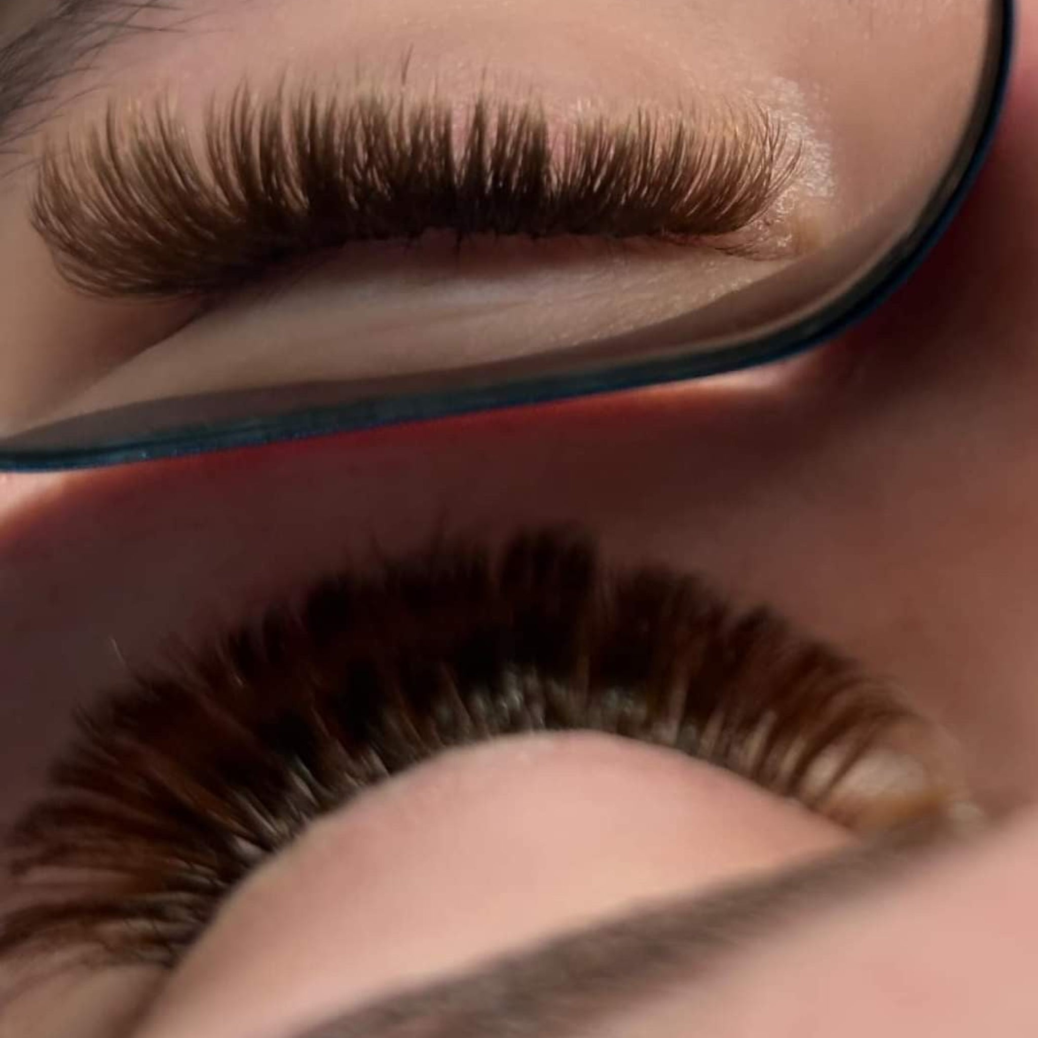 ladybuglashes lashglue lashtrays lashadhesive glueretention cloverlashes wlashes yylashes premades promades lashes