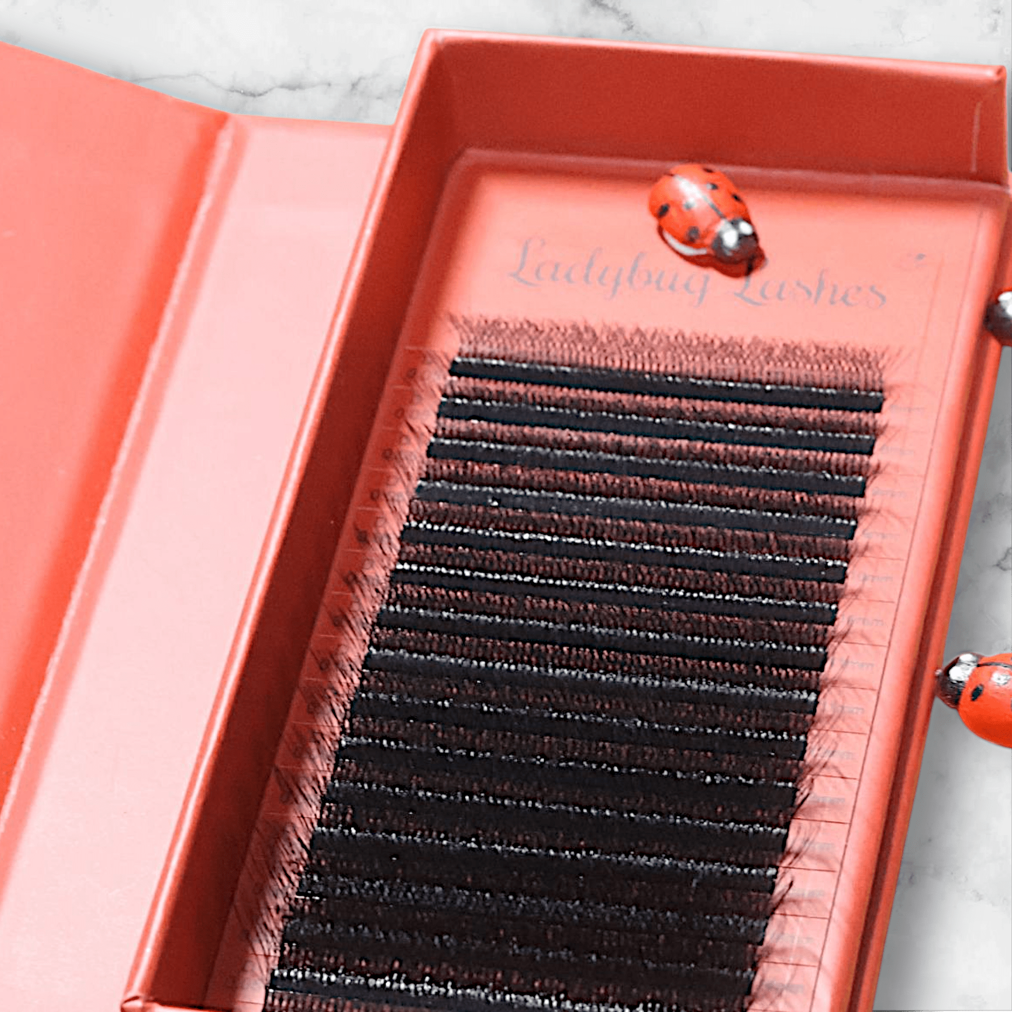 8D Clover Lashes 16 row mixed tray