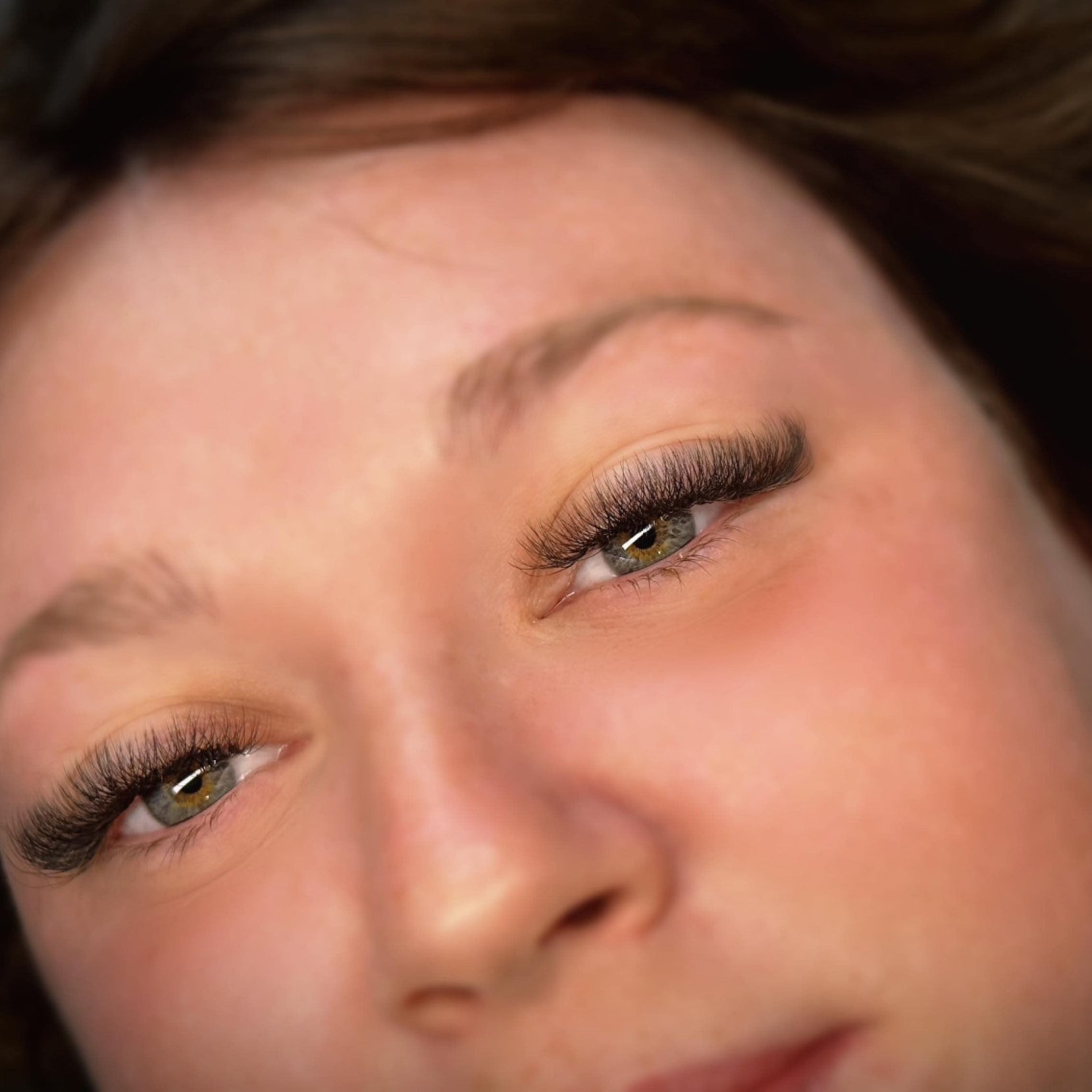 ladybuglashes lashglue lashtrays lashadhesive glueretention cloverlashes wlashes yylashes premades promades lashes