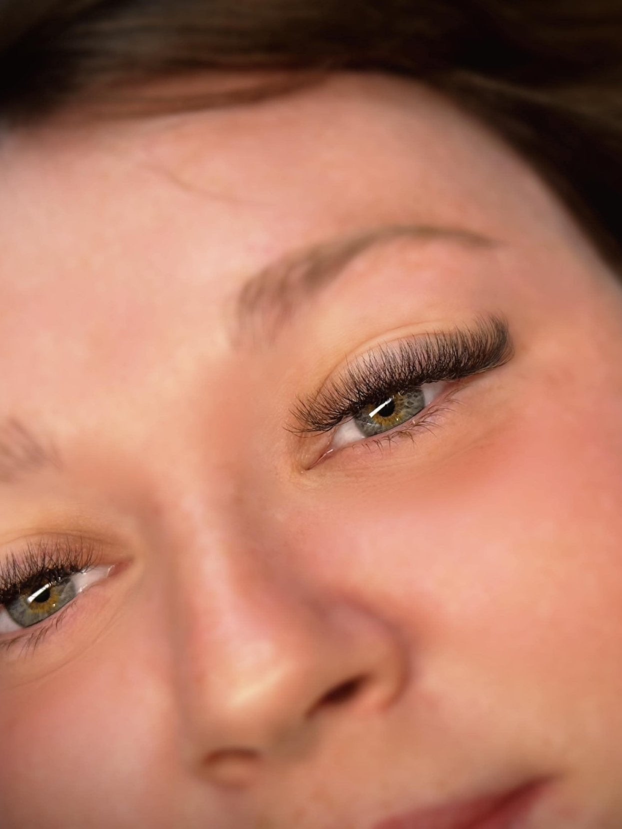 ladybuglashes lashglue lashtrays lashadhesive glueretention cloverlashes wlashes yylashes premades promades lashes