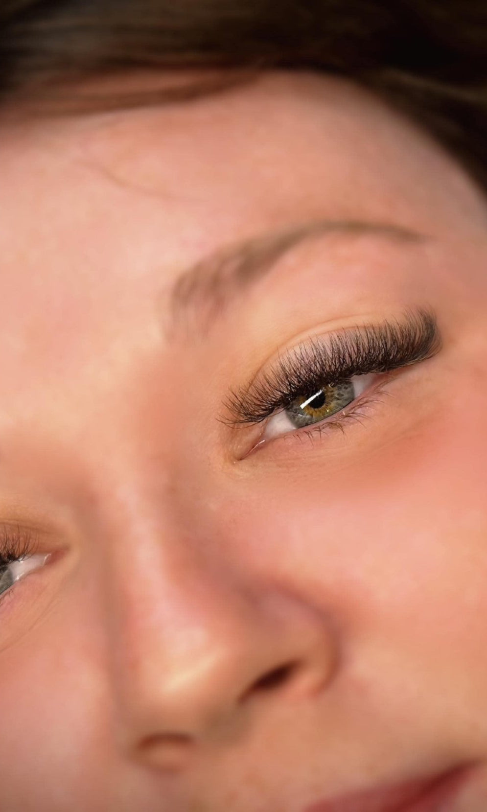 ladybuglashes lashglue lashtrays lashadhesive glueretention cloverlashes wlashes yylashes premades promades lashes