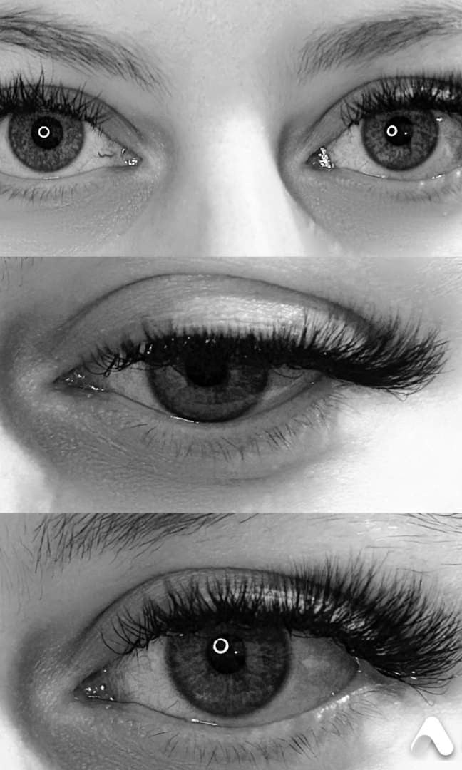 ladybuglashes lashglue lashtrays lashadhesive glueretention cloverlashes wlashes yylashes premades promades lashes