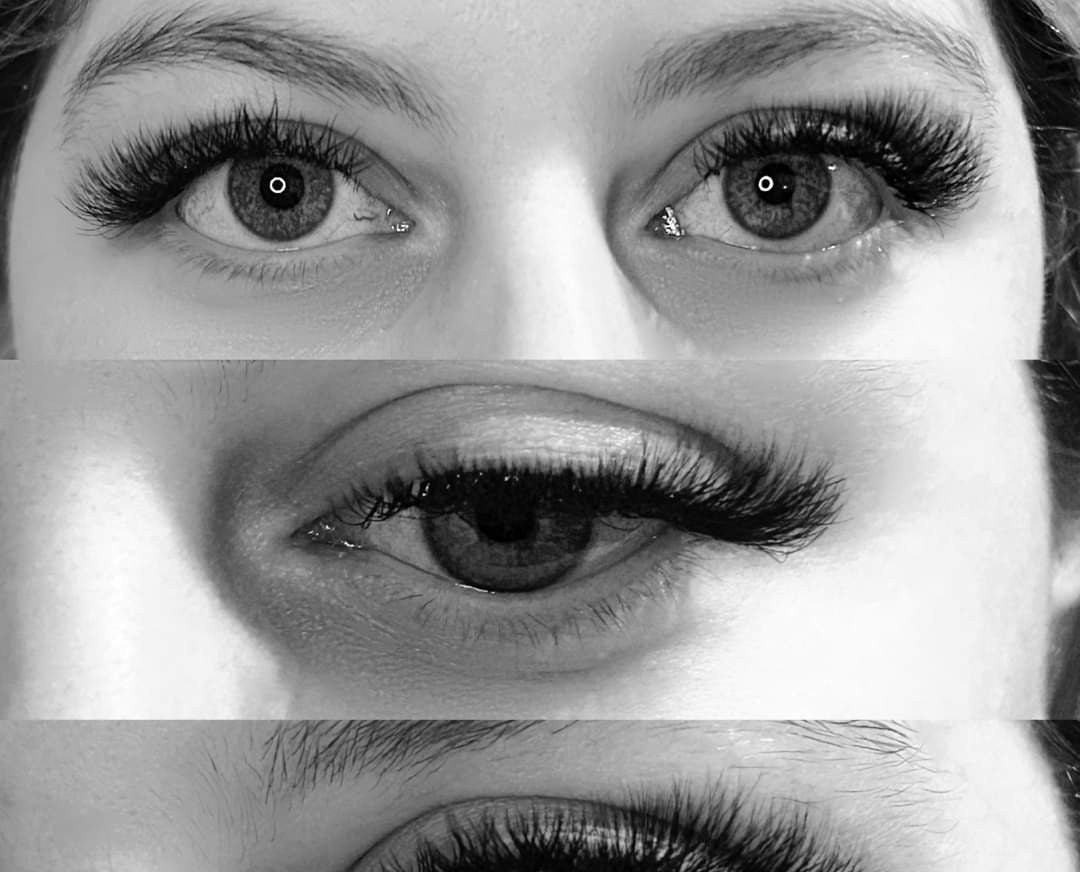 ladybuglashes lashglue lashtrays lashadhesive glueretention cloverlashes wlashes yylashes premades promades lashes