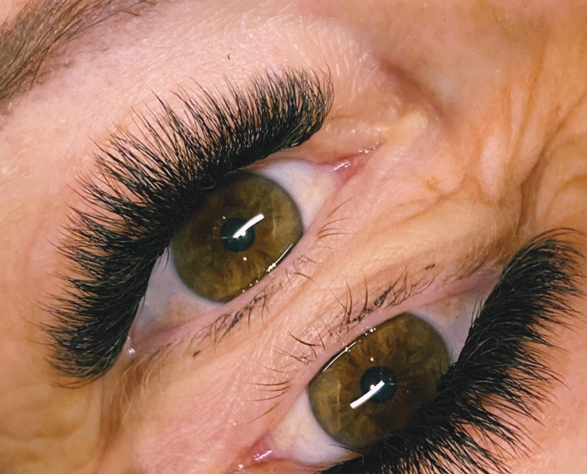 ladybuglashes lashglue lashtrays lashadhesive glueretention cloverlashes wlashes yylashes premades promades lashes