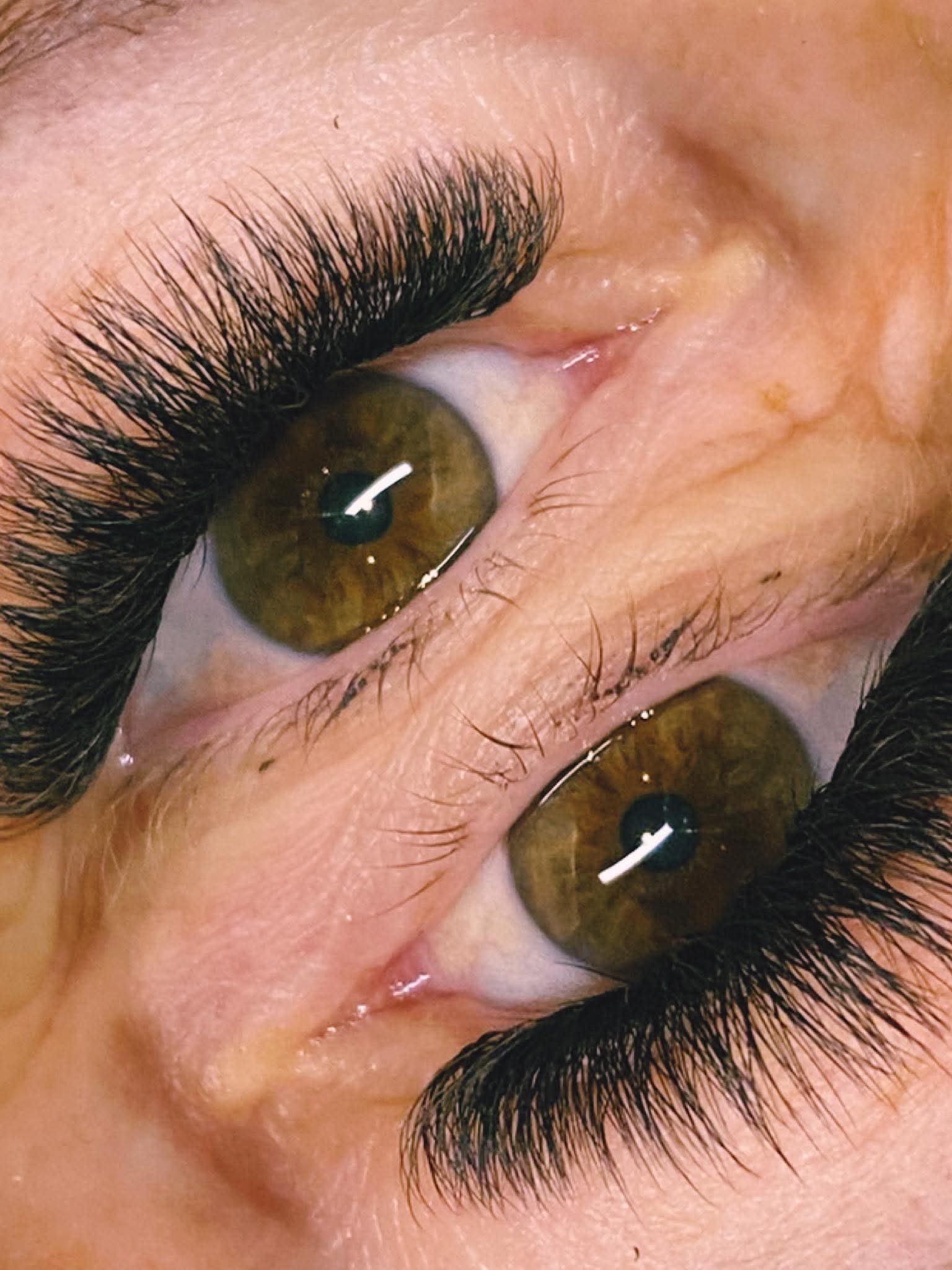 ladybuglashes lashglue lashtrays lashadhesive glueretention cloverlashes wlashes yylashes premades promades lashes