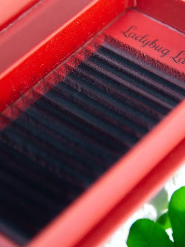 ladybuglashes lashglue lashtrays lashadhesive glueretention cloverlashes wlashes yylashes premades promades lashes