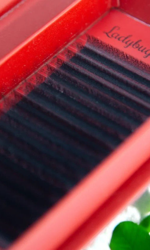 ladybuglashes lashglue lashtrays lashadhesive glueretention cloverlashes wlashes yylashes premades promades lashes