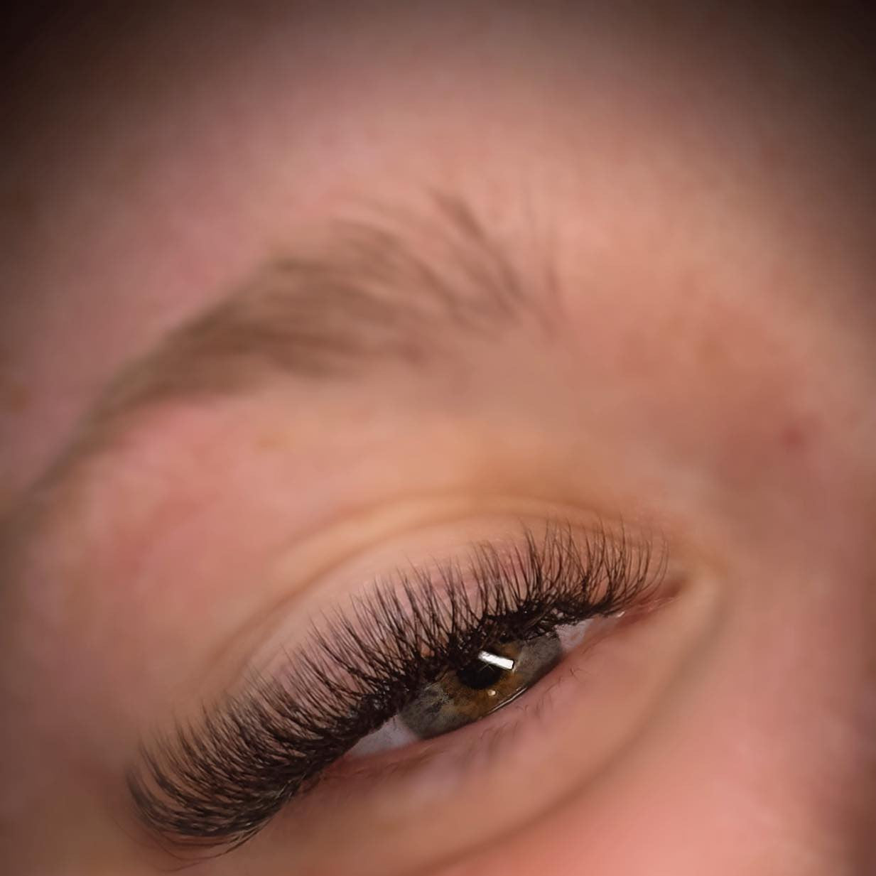 ladybuglashes lashglue lashtrays lashadhesive glueretention cloverlashes wlashes yylashes premades promades lashes