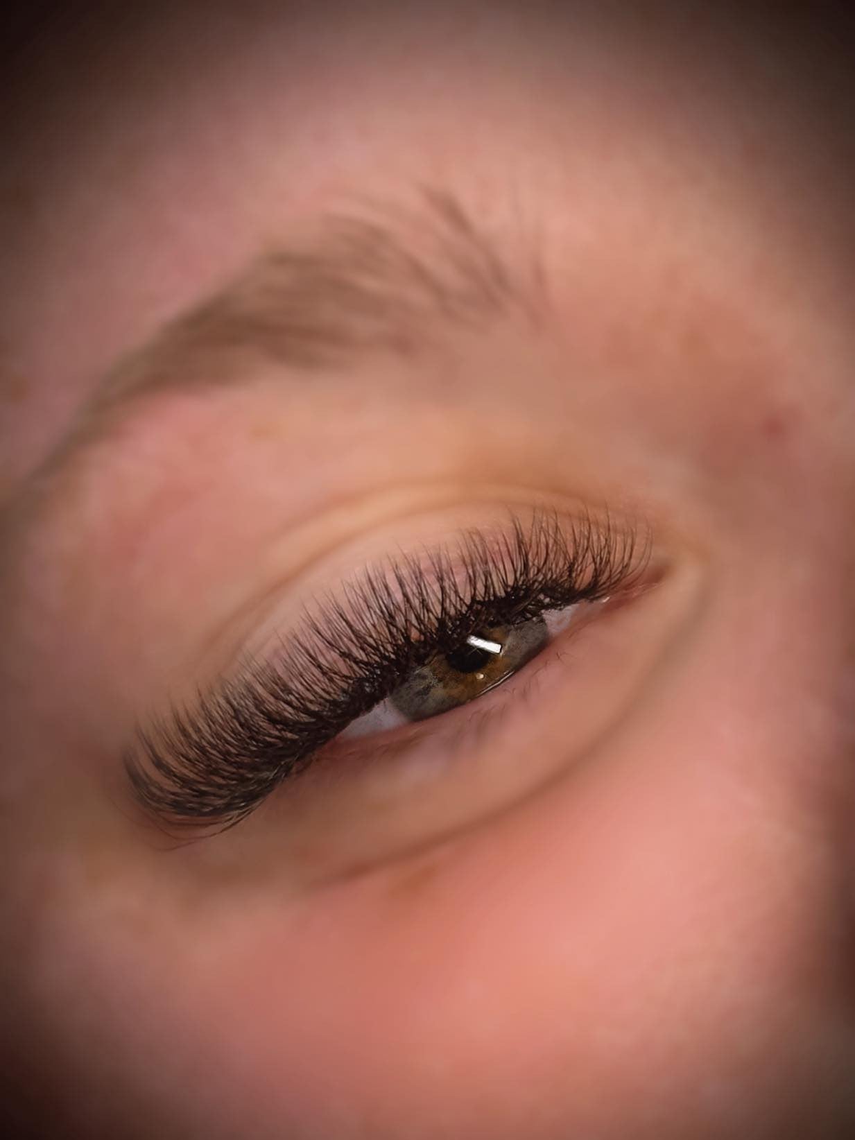 ladybuglashes lashglue lashtrays lashadhesive glueretention cloverlashes wlashes yylashes premades promades lashes