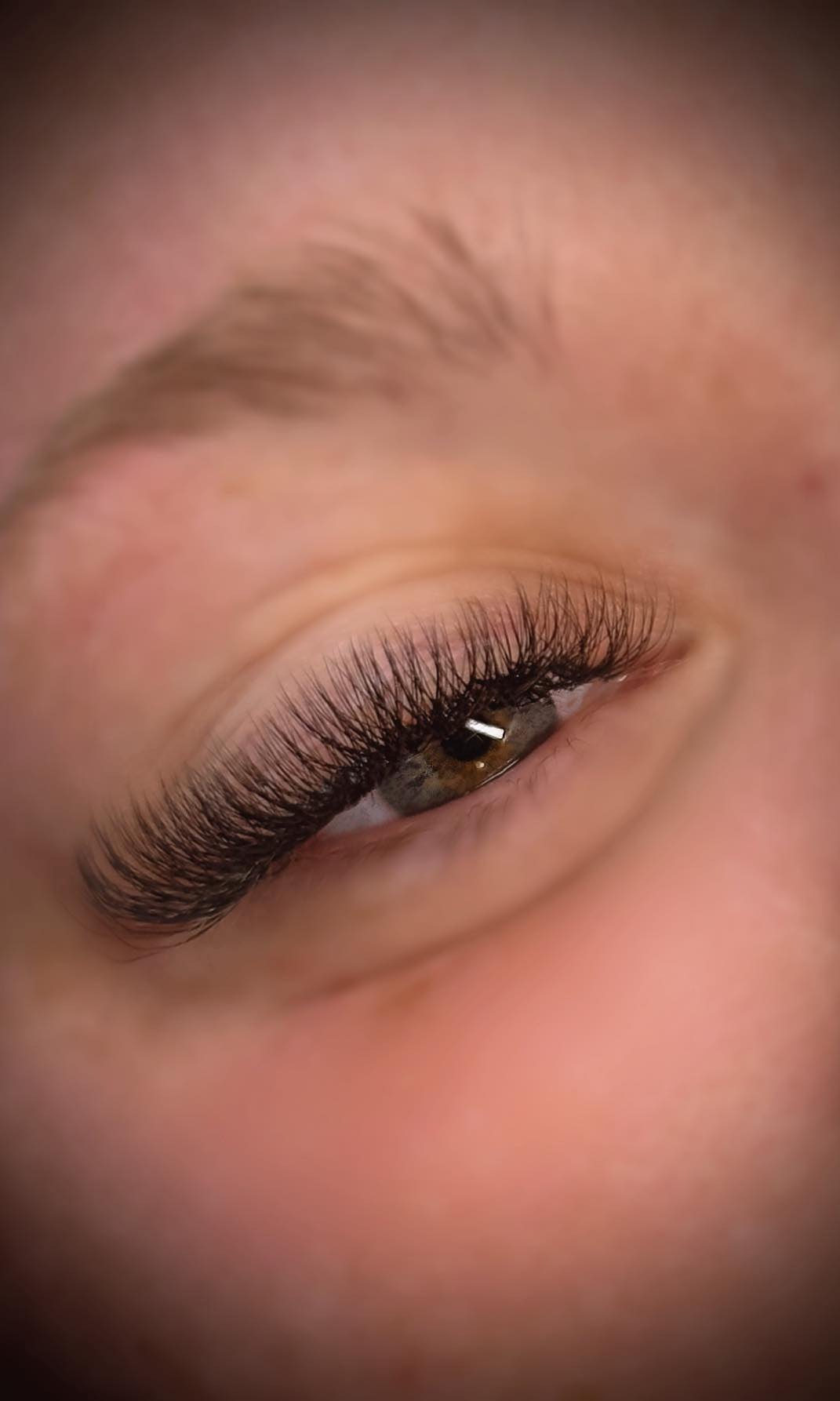 ladybuglashes lashglue lashtrays lashadhesive glueretention cloverlashes wlashes yylashes premades promades lashes