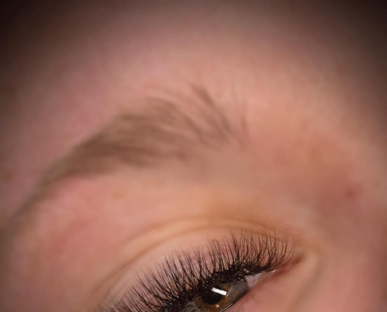 ladybuglashes lashglue lashtrays lashadhesive glueretention cloverlashes wlashes yylashes premades promades lashes