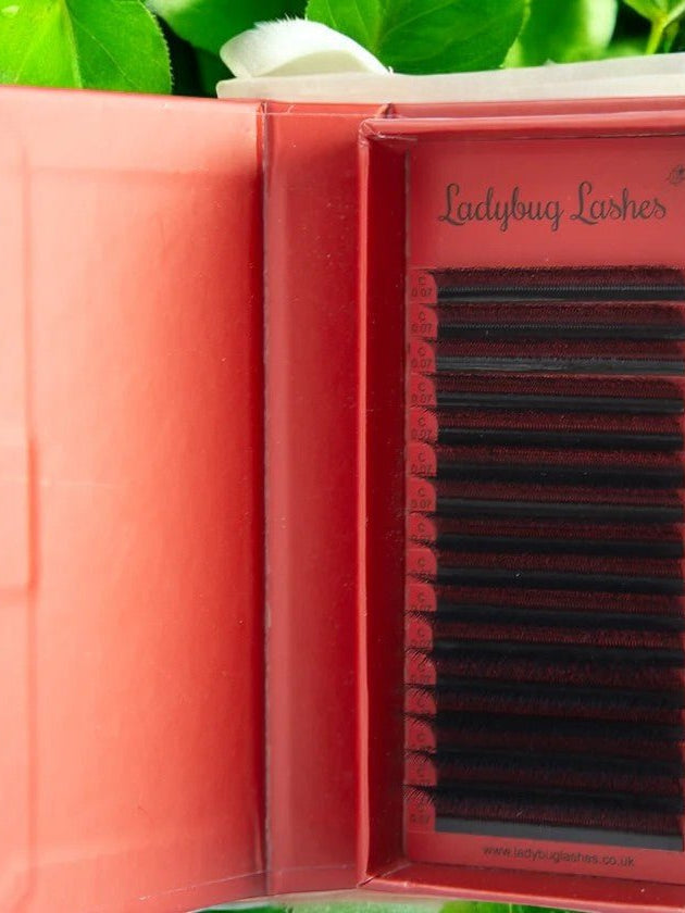 ladybuglashes lashglue lashtrays lashadhesive glueretention cloverlashes wlashes yylashes premades promades lashes