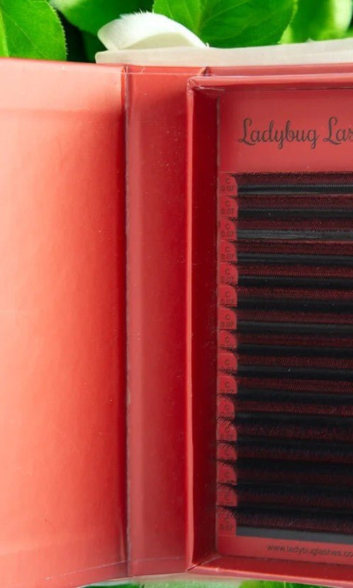 ladybuglashes lashglue lashtrays lashadhesive glueretention cloverlashes wlashes yylashes premades promades lashes