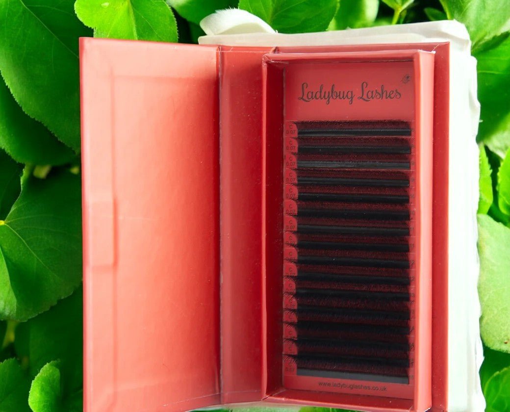 ladybuglashes lashglue lashtrays lashadhesive glueretention cloverlashes wlashes yylashes premades promades lashes