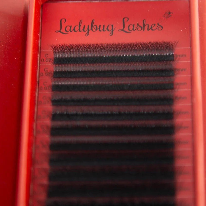 ladybuglashes lashglue lashtrays lashadhesive glueretention cloverlashes wlashes yylashes premades promades lashes