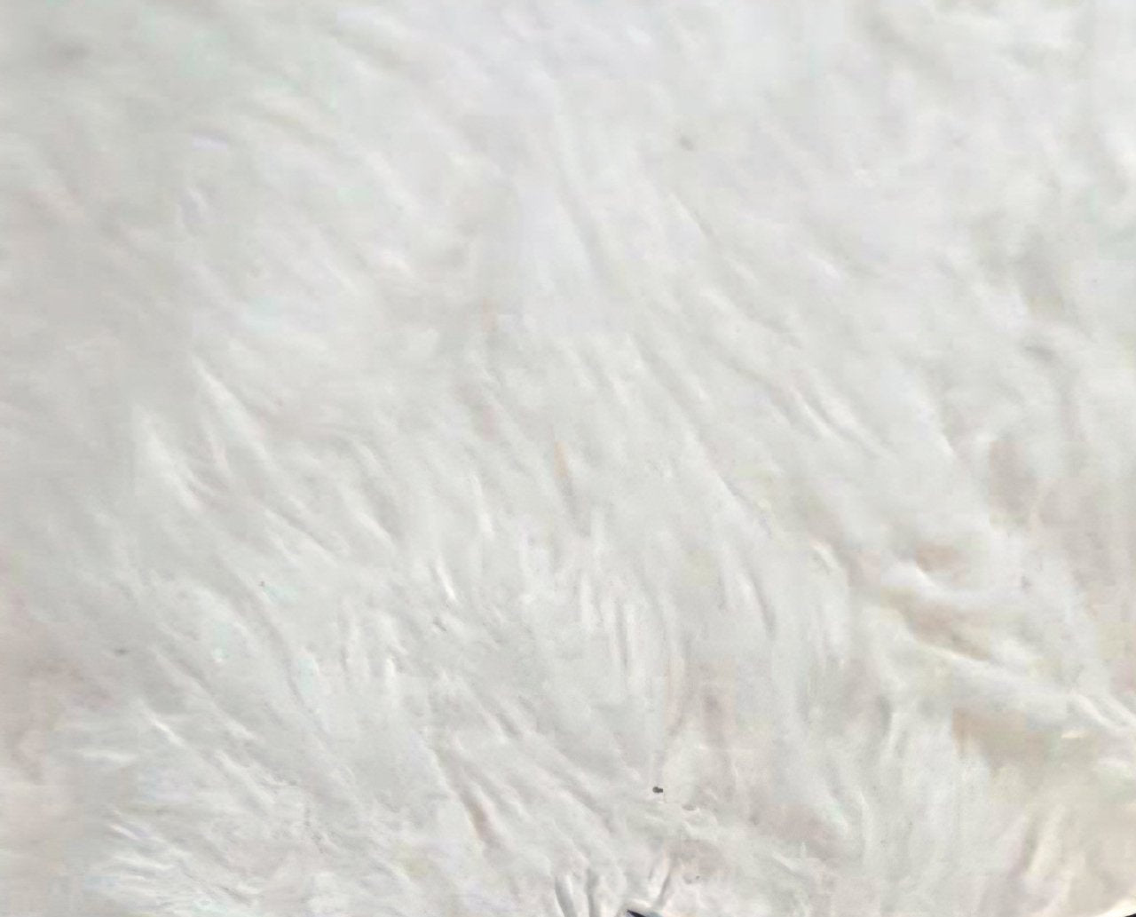 ladybuglashes lashglue lashtrays lashadhesive glueretention cloverlashes wlashes yylashes premades promades lashes