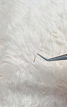 ladybuglashes lashglue lashtrays lashadhesive glueretention cloverlashes wlashes yylashes premades promades lashes