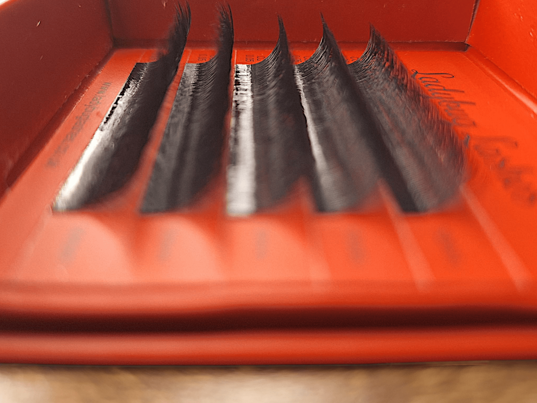 ladybuglashes lashglue lashtrays lashadhesive glueretention cloverlashes wlashes yylashes premades promades lashes