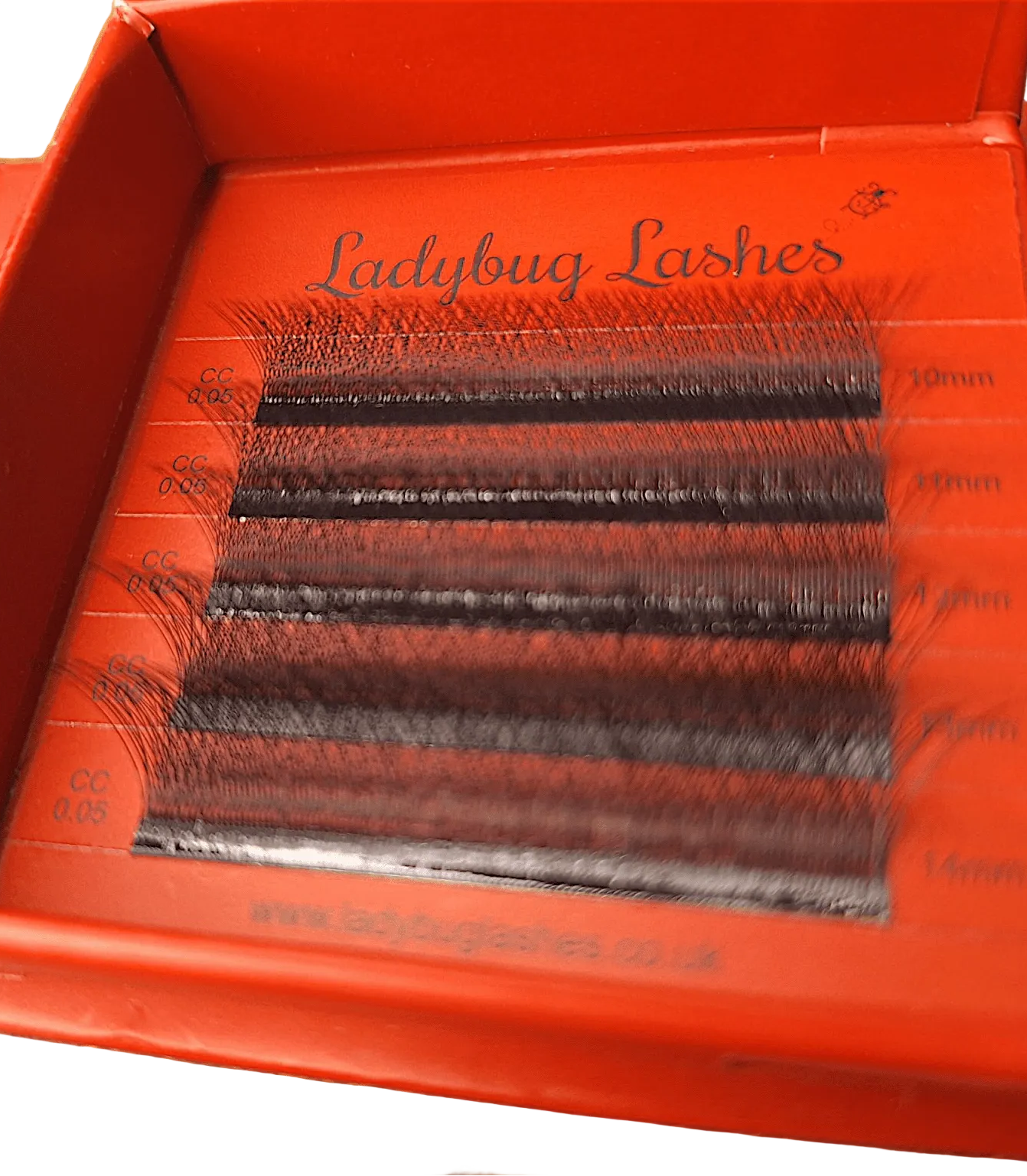ladybuglashes lashglue lashtrays lashadhesive glueretention cloverlashes wlashes yylashes premades promades lashes
