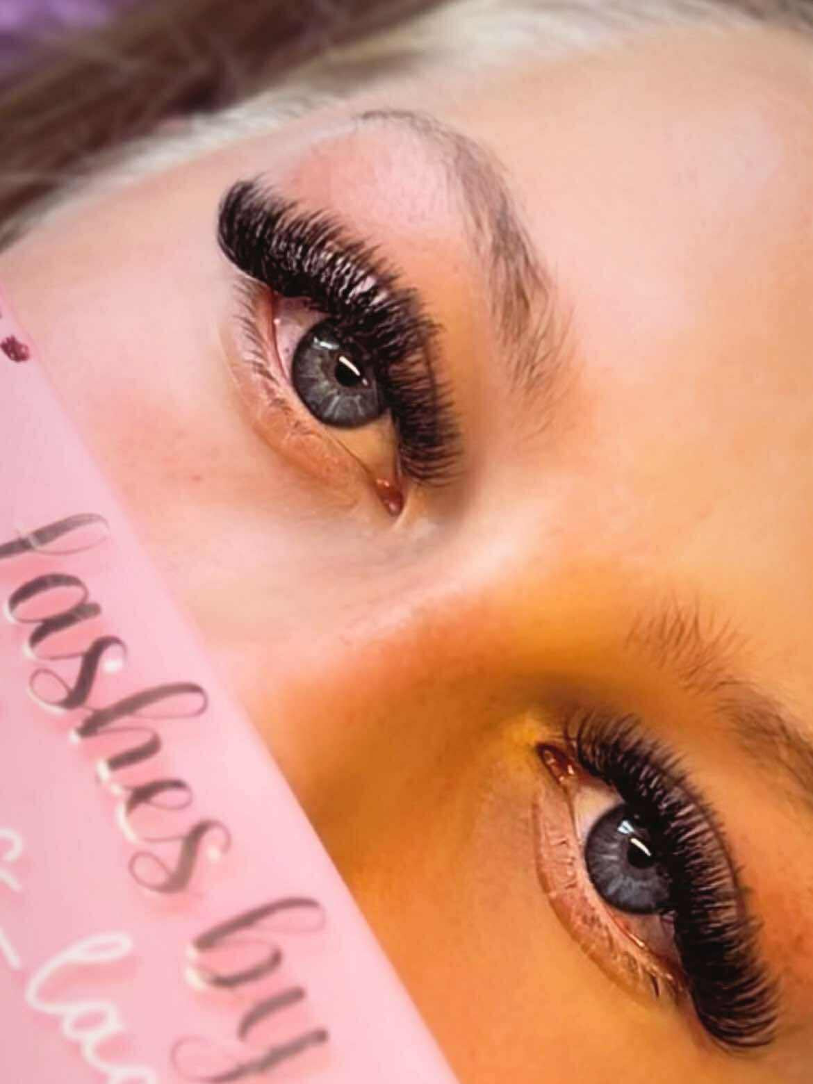 ladybuglashes lashglue lashtrays lashadhesive glueretention cloverlashes wlashes yylashes premades promades lashes