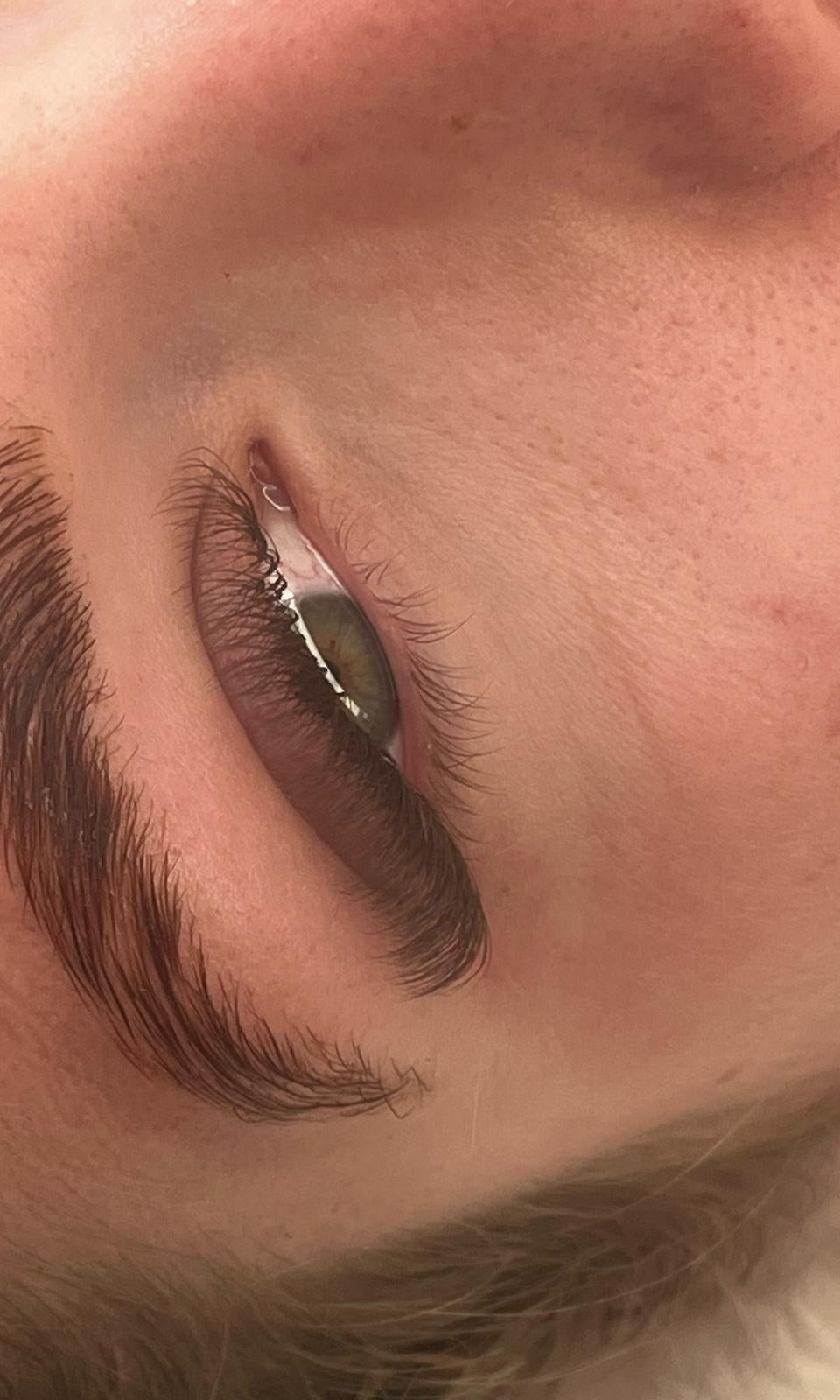 ladybuglashes lashglue lashtrays lashadhesive glueretention cloverlashes wlashes yylashes premades promades lashes