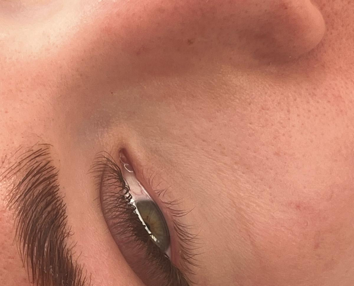 ladybuglashes lashglue lashtrays lashadhesive glueretention cloverlashes wlashes yylashes premades promades lashes