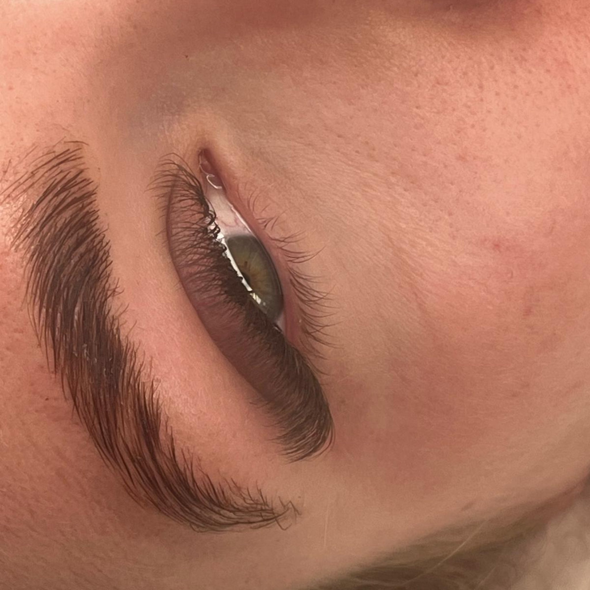 ladybuglashes lashglue lashtrays lashadhesive glueretention cloverlashes wlashes yylashes premades promades lashes