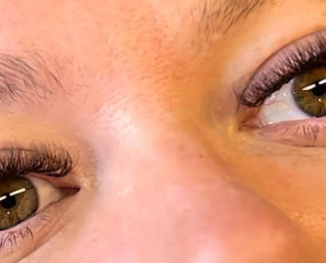 ladybuglashes lashglue lashtrays lashadhesive glueretention cloverlashes wlashes yylashes premades promades lashes