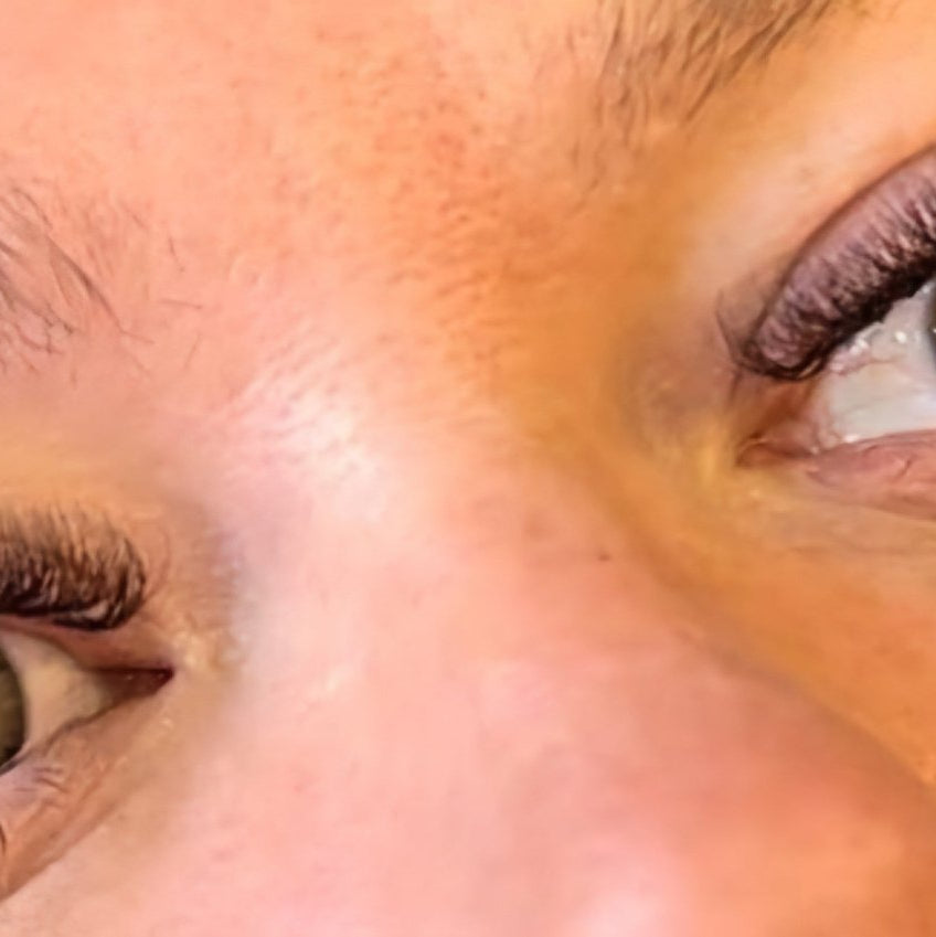 ladybuglashes lashglue lashtrays lashadhesive glueretention cloverlashes wlashes yylashes premades promades lashes