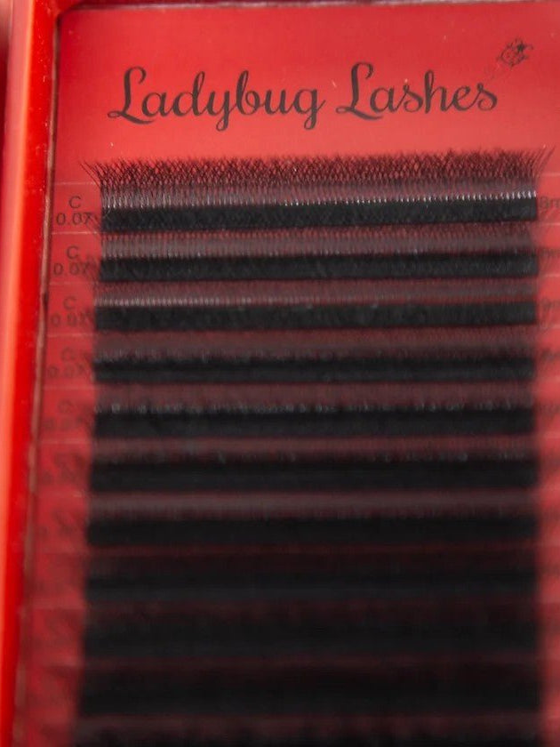 ladybuglashes lashglue lashtrays lashadhesive glueretention cloverlashes wlashes yylashes premades promades lashes