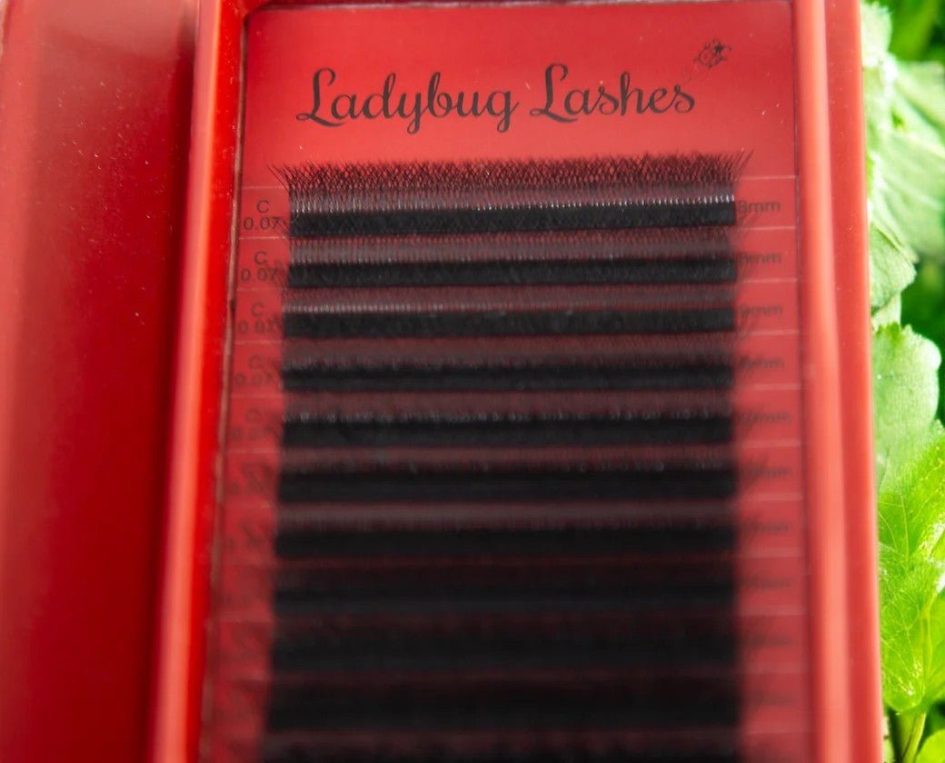 ladybuglashes lashglue lashtrays lashadhesive glueretention cloverlashes wlashes yylashes premades promades lashes