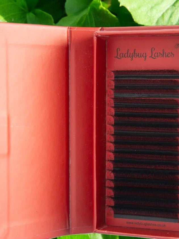 ladybuglashes lashglue lashtrays lashadhesive glueretention cloverlashes wlashes yylashes premades promades lashes