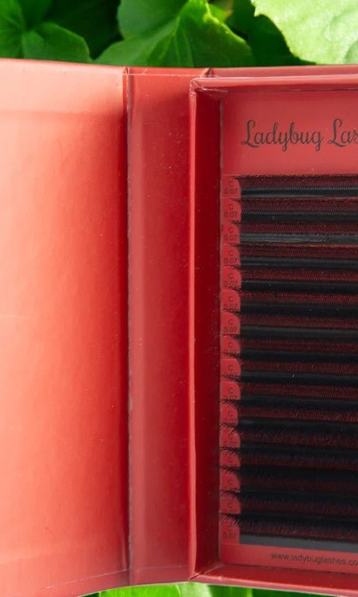 ladybuglashes lashglue lashtrays lashadhesive glueretention cloverlashes wlashes yylashes premades promades lashes