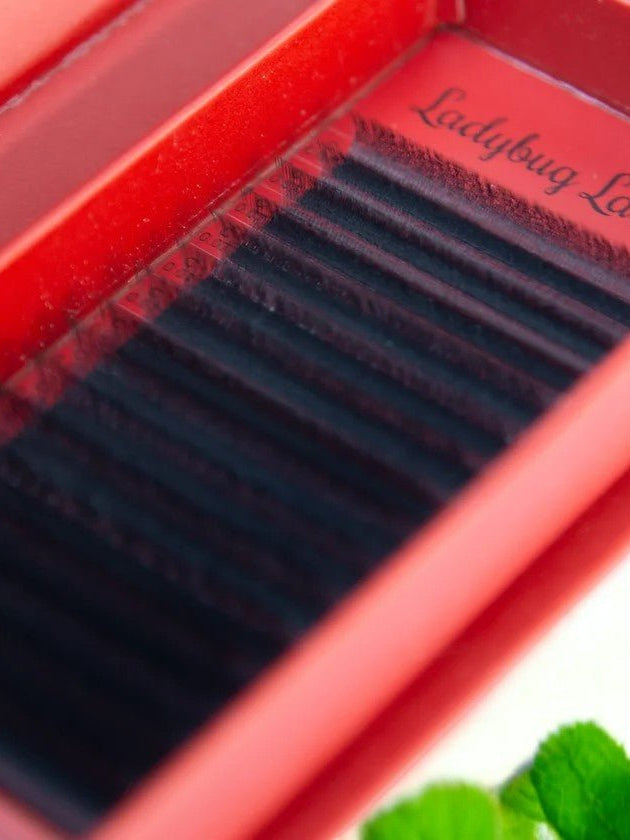 ladybuglashes lashglue lashtrays lashadhesive glueretention cloverlashes wlashes yylashes premades promades lashes