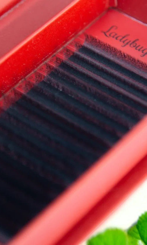 ladybuglashes lashglue lashtrays lashadhesive glueretention cloverlashes wlashes yylashes premades promades lashes