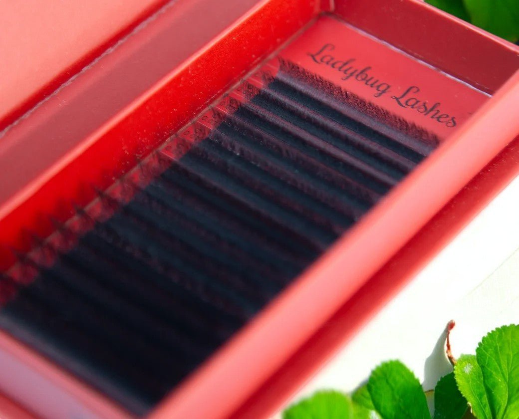 ladybuglashes lashglue lashtrays lashadhesive glueretention cloverlashes wlashes yylashes premades promades lashes