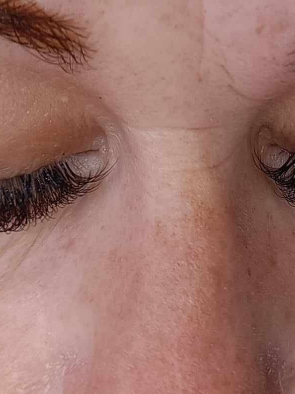 ladybuglashes lashglue lashtrays lashadhesive glueretention cloverlashes wlashes yylashes premades promades lashes