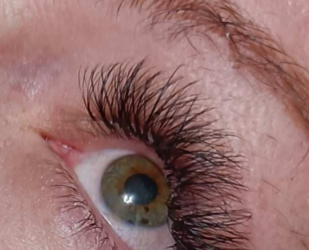 ladybuglashes lashglue lashtrays lashadhesive glueretention cloverlashes wlashes yylashes premades promades lashes