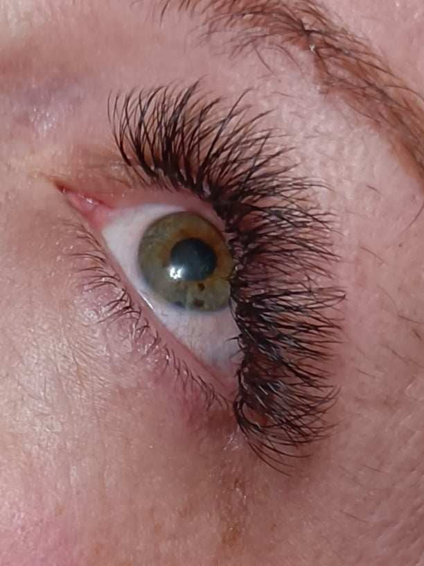 ladybuglashes lashglue lashtrays lashadhesive glueretention cloverlashes wlashes yylashes premades promades lashes