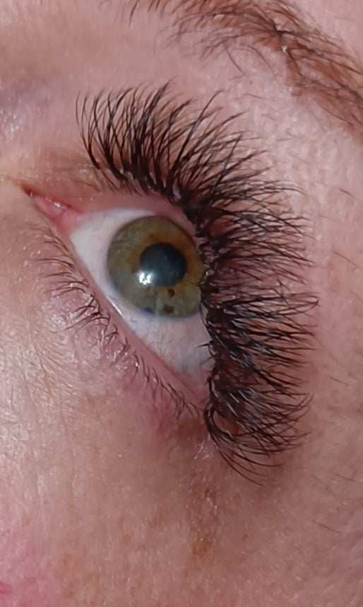 ladybuglashes lashglue lashtrays lashadhesive glueretention cloverlashes wlashes yylashes premades promades lashes