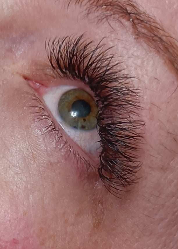 ladybuglashes lashglue lashtrays lashadhesive glueretention cloverlashes wlashes yylashes premades promades lashes