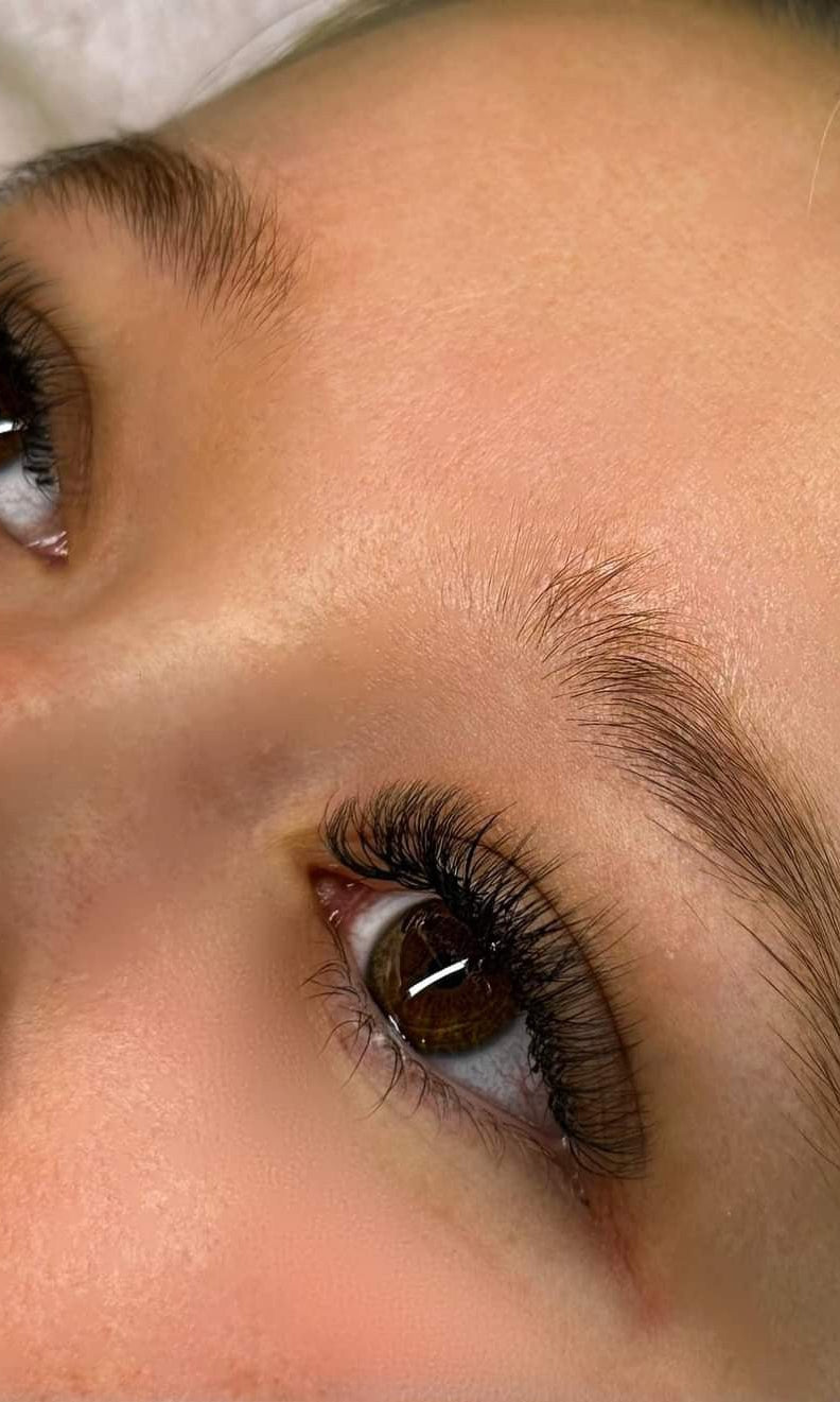 ladybuglashes lashglue lashtrays lashadhesive glueretention cloverlashes wlashes yylashes premades promades lashes