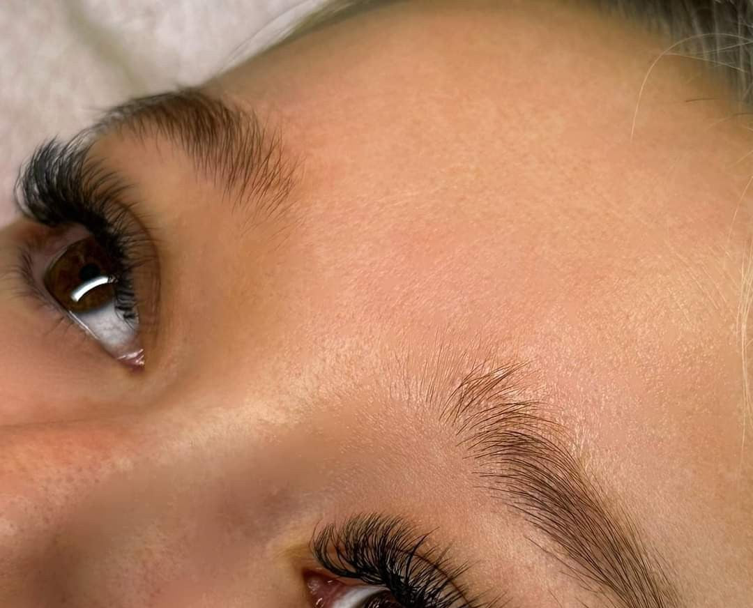 ladybuglashes lashglue lashtrays lashadhesive glueretention cloverlashes wlashes yylashes premades promades lashes